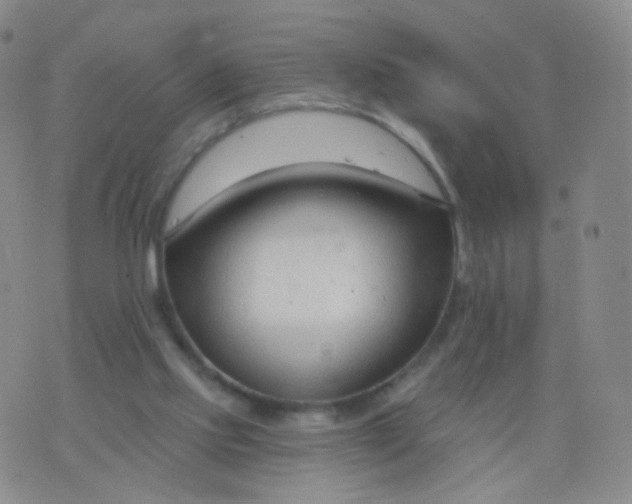 X0000076400061200610202140