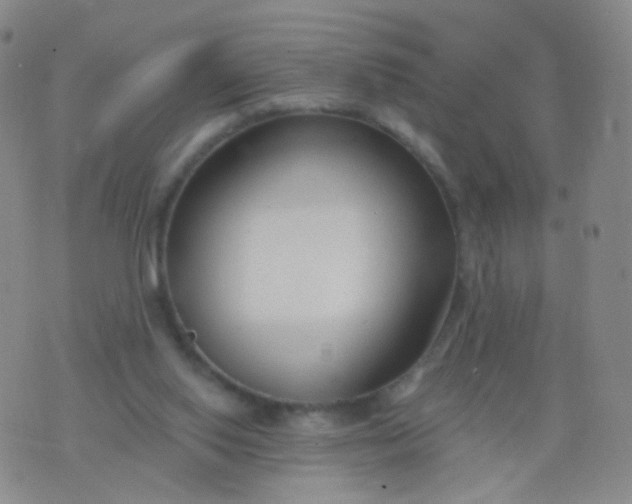 X0000076400062200610202140