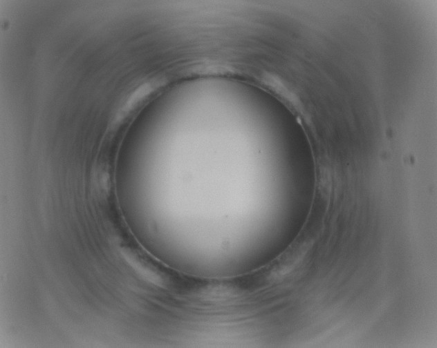 X0000076400063200610202140