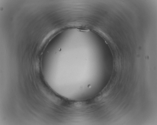 X0000076400064200610202140