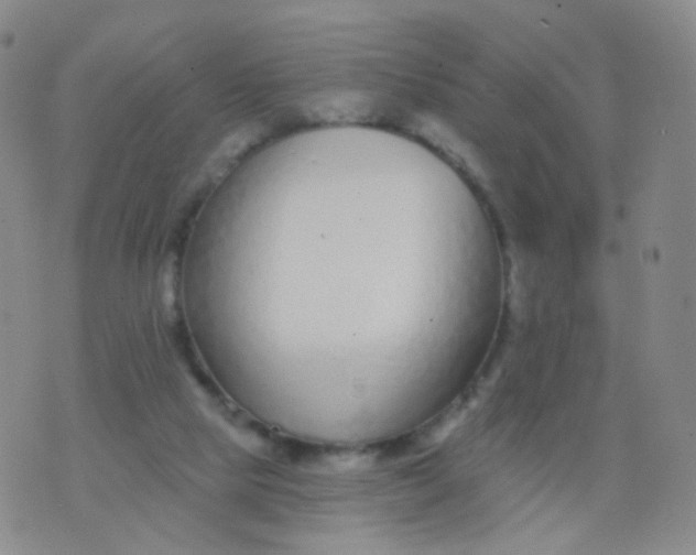 X0000076400065200610202140