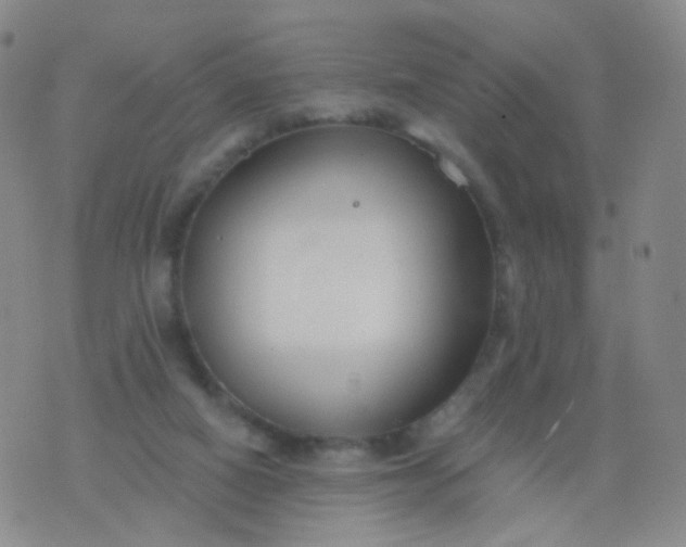 X0000076400066200610202140