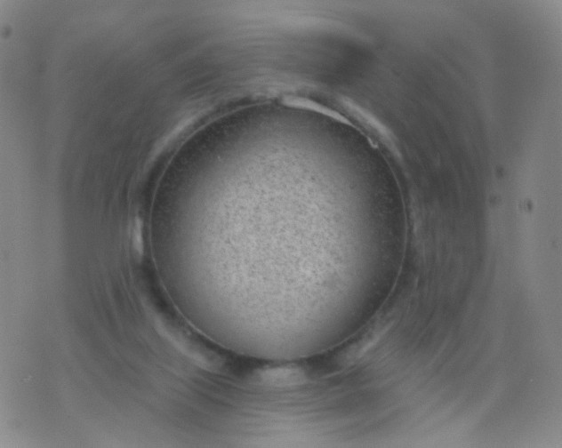 X0000076400067200610202140