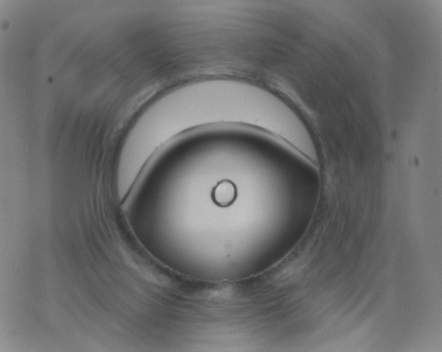 X0000076400068200610202140