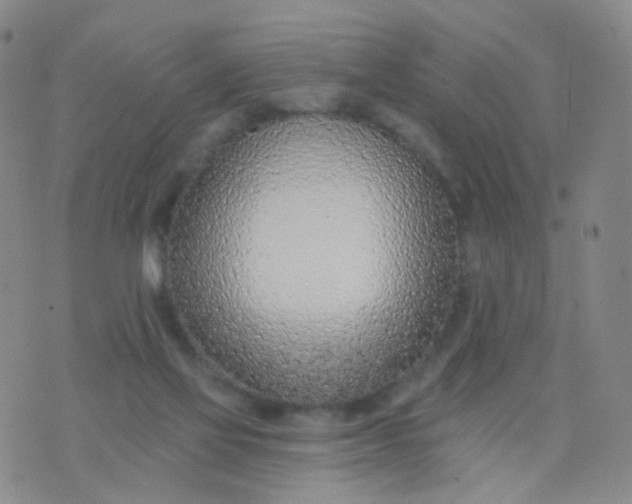 X0000076400069200610202140