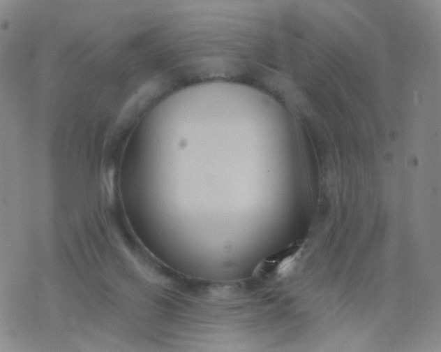 X0000076400070200610202140