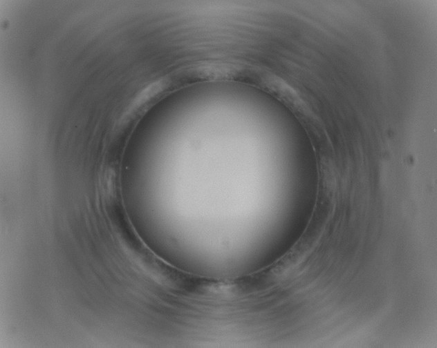 X0000076400071200610202140