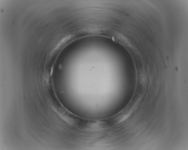 X0000076400072200610202140