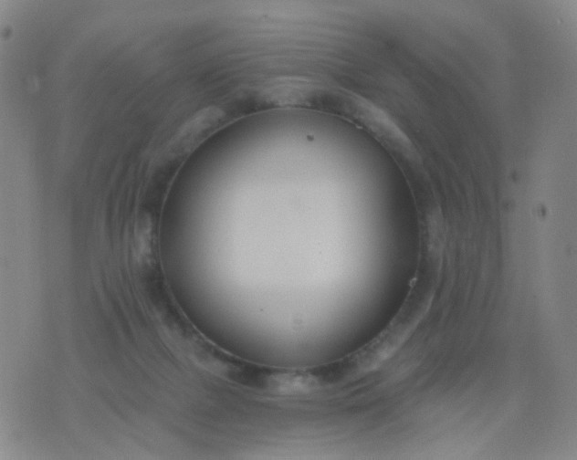 X0000076400073200610202140