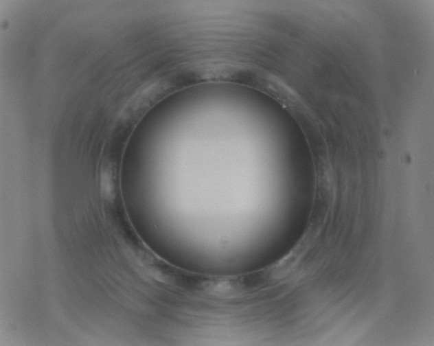 X0000076400074200610202140