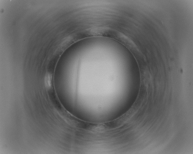 X0000076400075200610202140