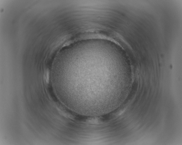 X0000076400076200610202140