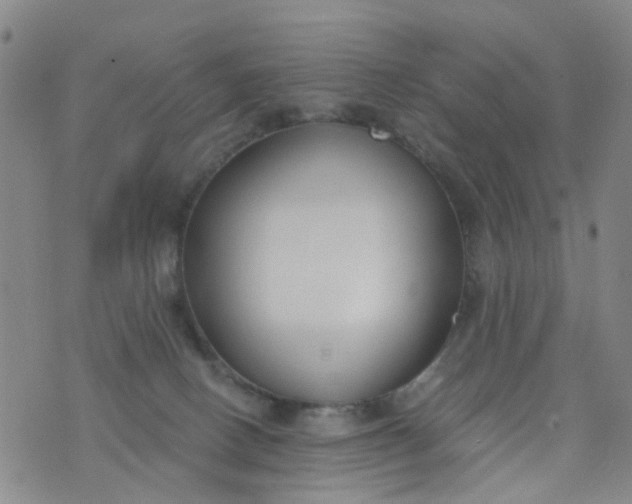 X0000076400082200610202141