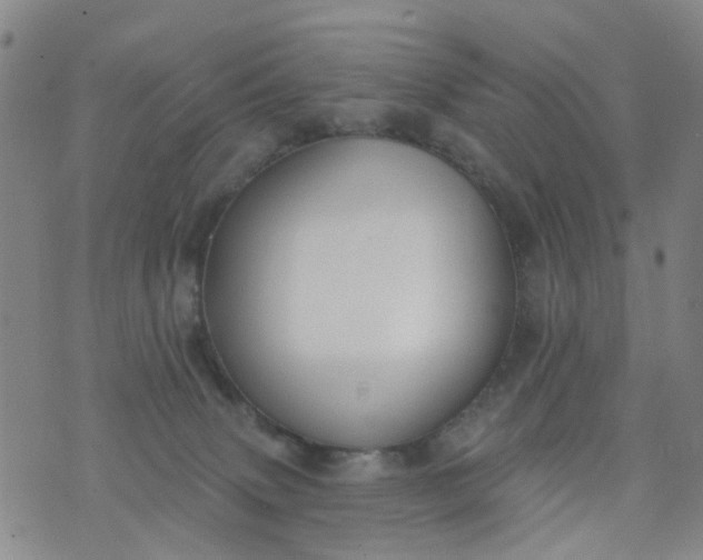 X0000076400083200610202141