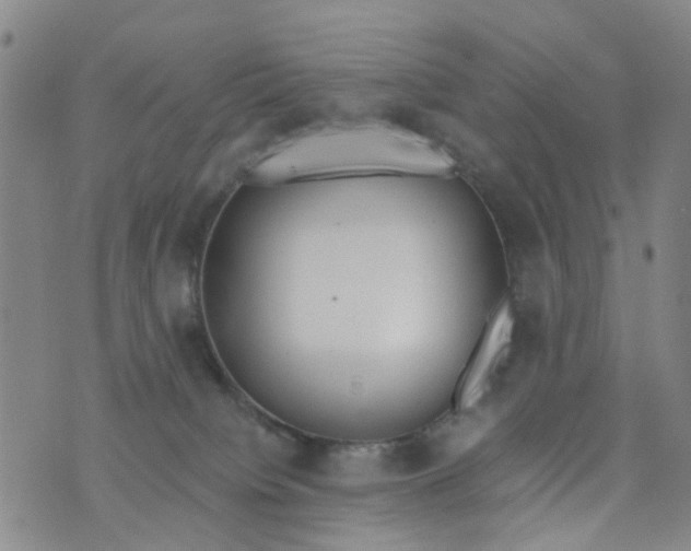 X0000076400084200610202141