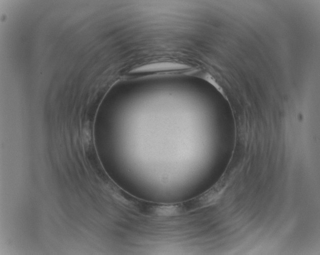 X0000076400085200610202141