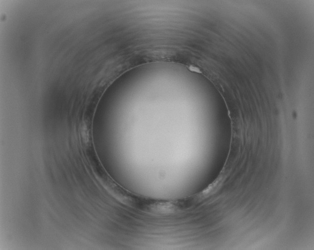 X0000076400086200610202141