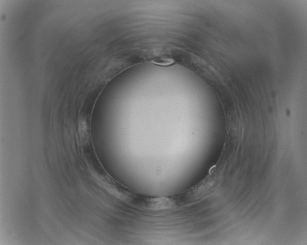 X0000076400087200610202141