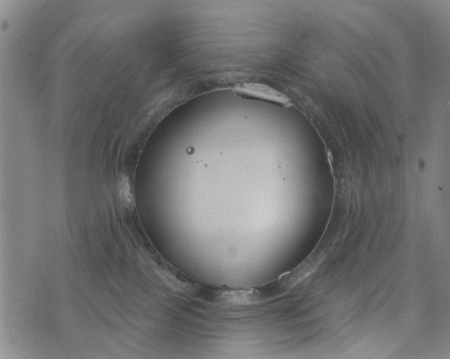 X0000076400089200610202141