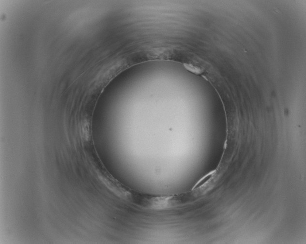 X0000076400090200610202141