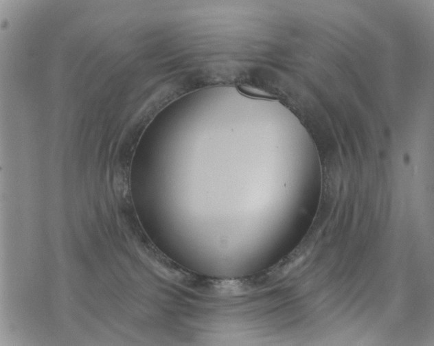 X0000076400091200610202141