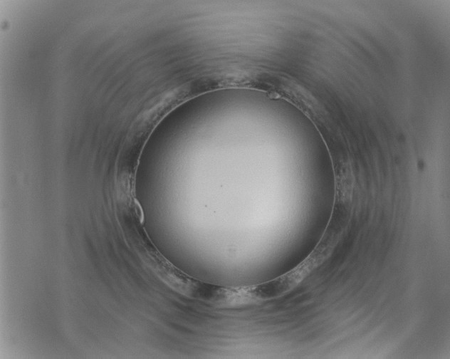 X0000076400093200610202141