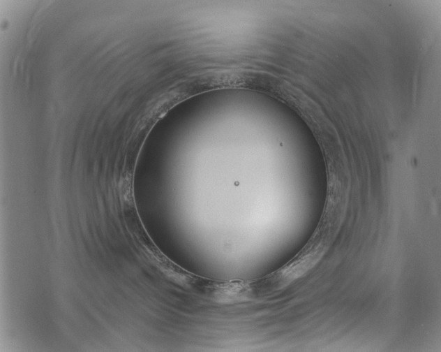 X0000076400096200610202141