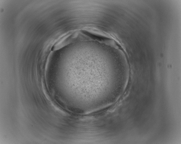 X0000076400097200610202140