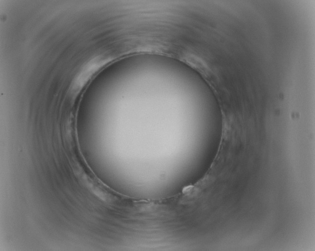 X0000076400098200610202140