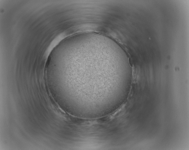 X0000076400099200610202140