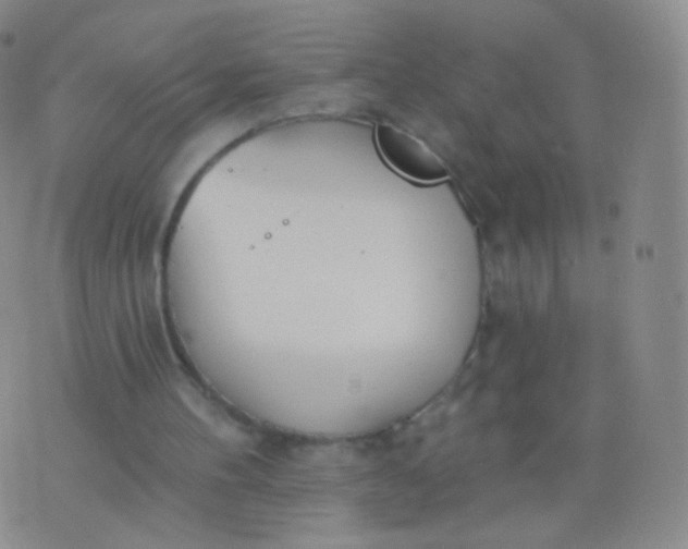 X0000076400100200610202140