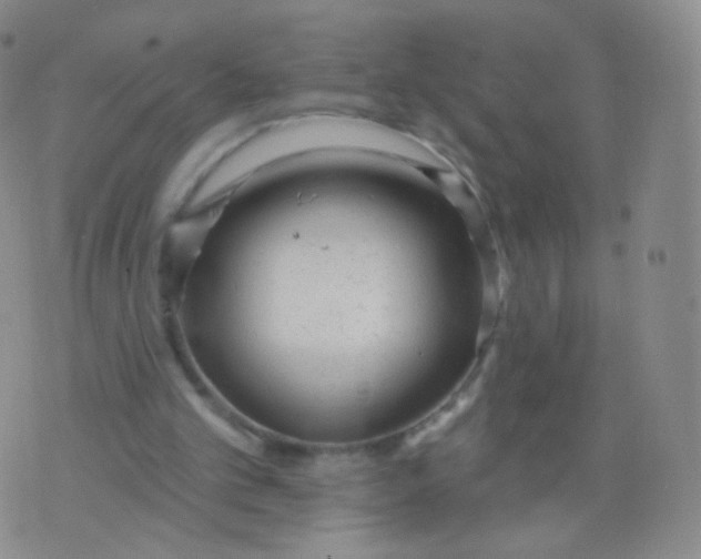 X0000076400101200610202140