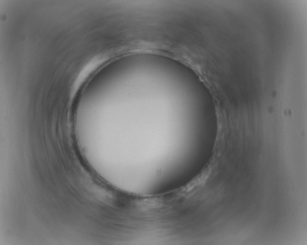 X0000076400102200610202140