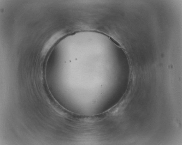 X0000076400103200610202140