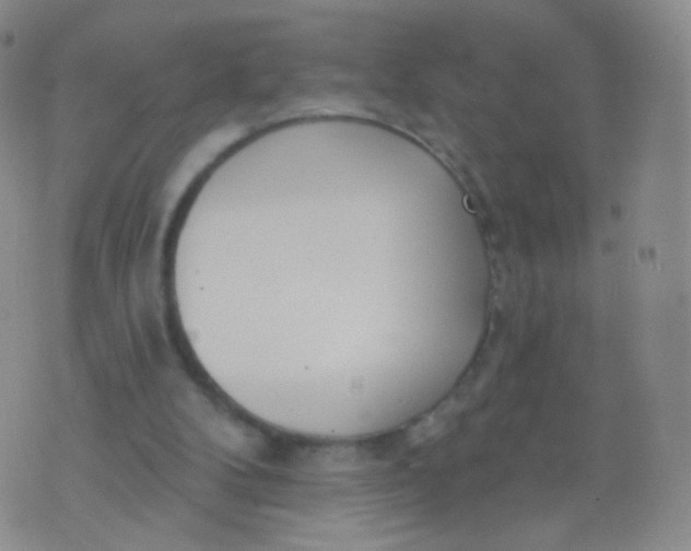 X0000076400104200610202140