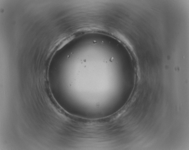 X0000076400105200610202140