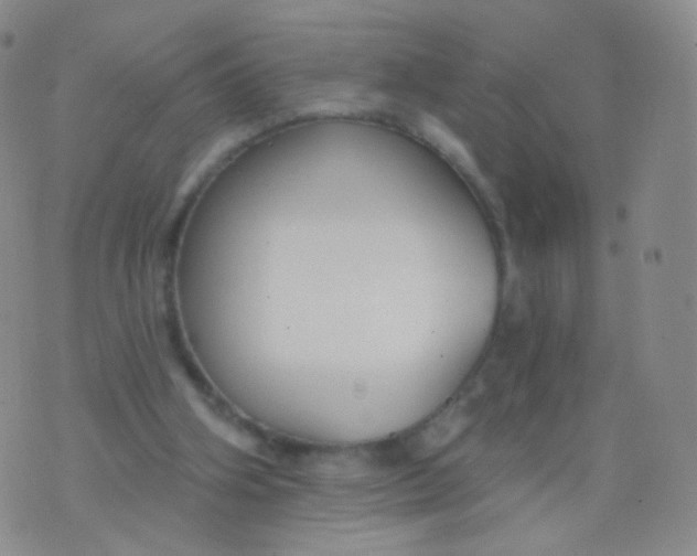 X0000076400106200610202140