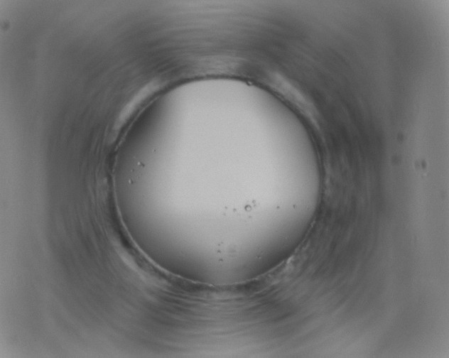 X0000076400107200610202140