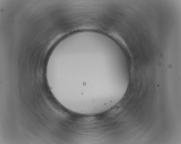 X0000076400108200610202140