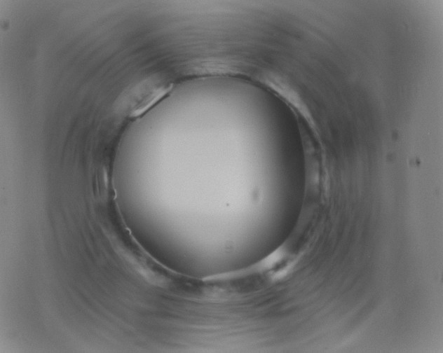 X0000076400109200610202140