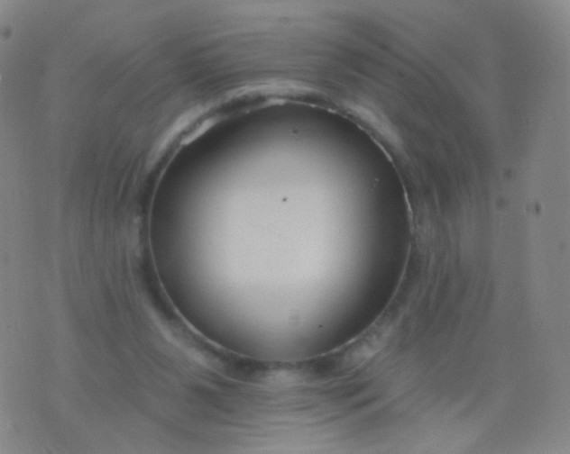 X0000076400111200610202140