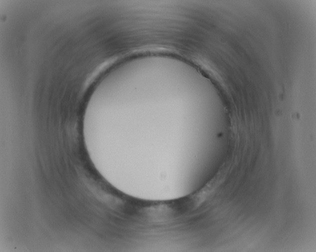 X0000076400112200610202140