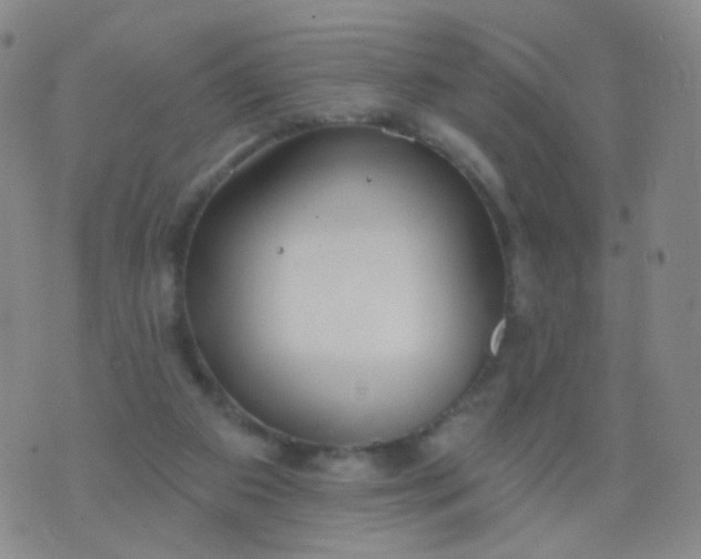 X0000076400113200610202140