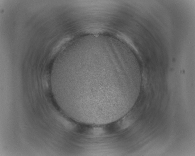 X0000076400114200610202140