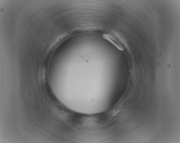 X0000076400115200610202140