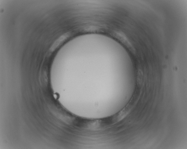 X0000076400116200610202140