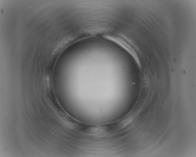 X0000076400117200610202140