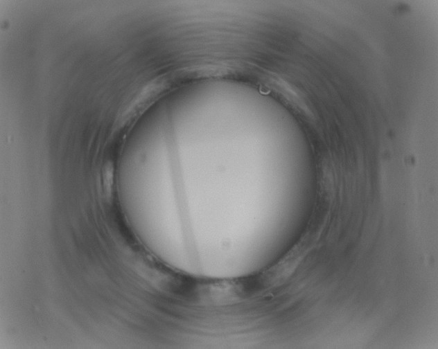 X0000076400118200610202140