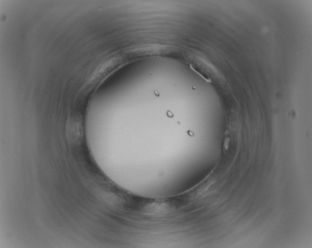 X0000076400119200610202140