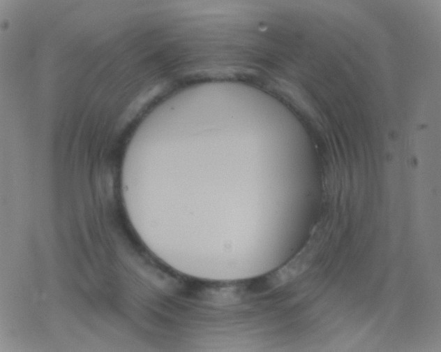 X0000076400120200610202140